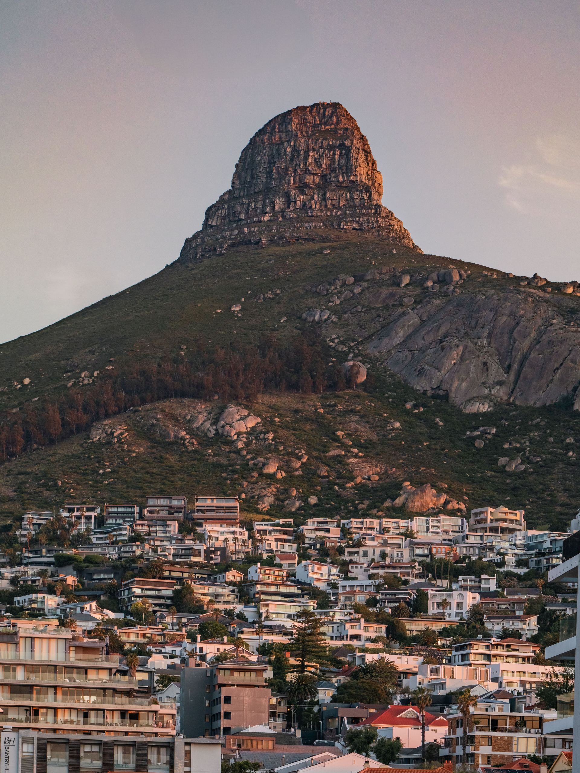 Lion's Head rising above the houses of Cape Town.